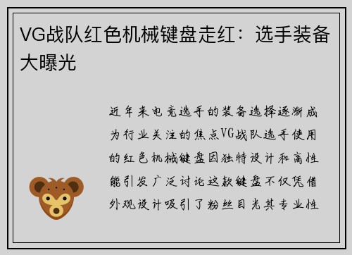 VG战队红色机械键盘走红：选手装备大曝光
