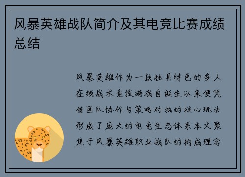 风暴英雄战队简介及其电竞比赛成绩总结